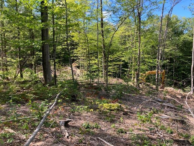 0 Old Carr Road, Unit 20 Antrim, NH 03440 - Photo 2 of 7