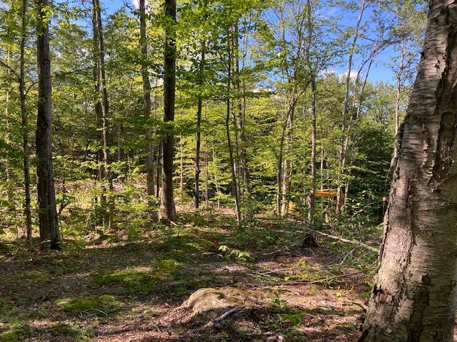 0 Old Carr Road, Unit 20 Antrim, NH 03440 - Photo 3 of 7