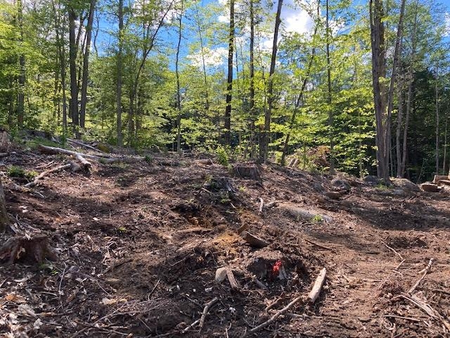 0 Old Carr Road, Unit 20 Antrim, NH 03440 - Photo 4 of 7