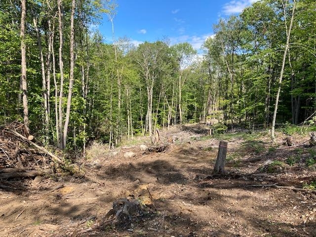 0 Old Carr Road, Unit 20 Antrim, NH 03440 - Photo 5 of 7