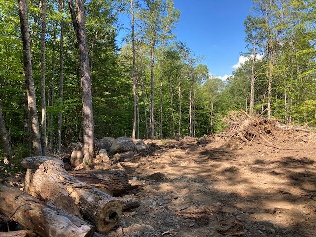 0 Old Carr Road, Unit 20 Antrim, NH 03440 - Photo 6 of 7