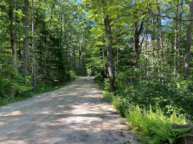 0 Old Carr Road, Unit 20 Antrim, NH 03440 - Photo 7 of 7