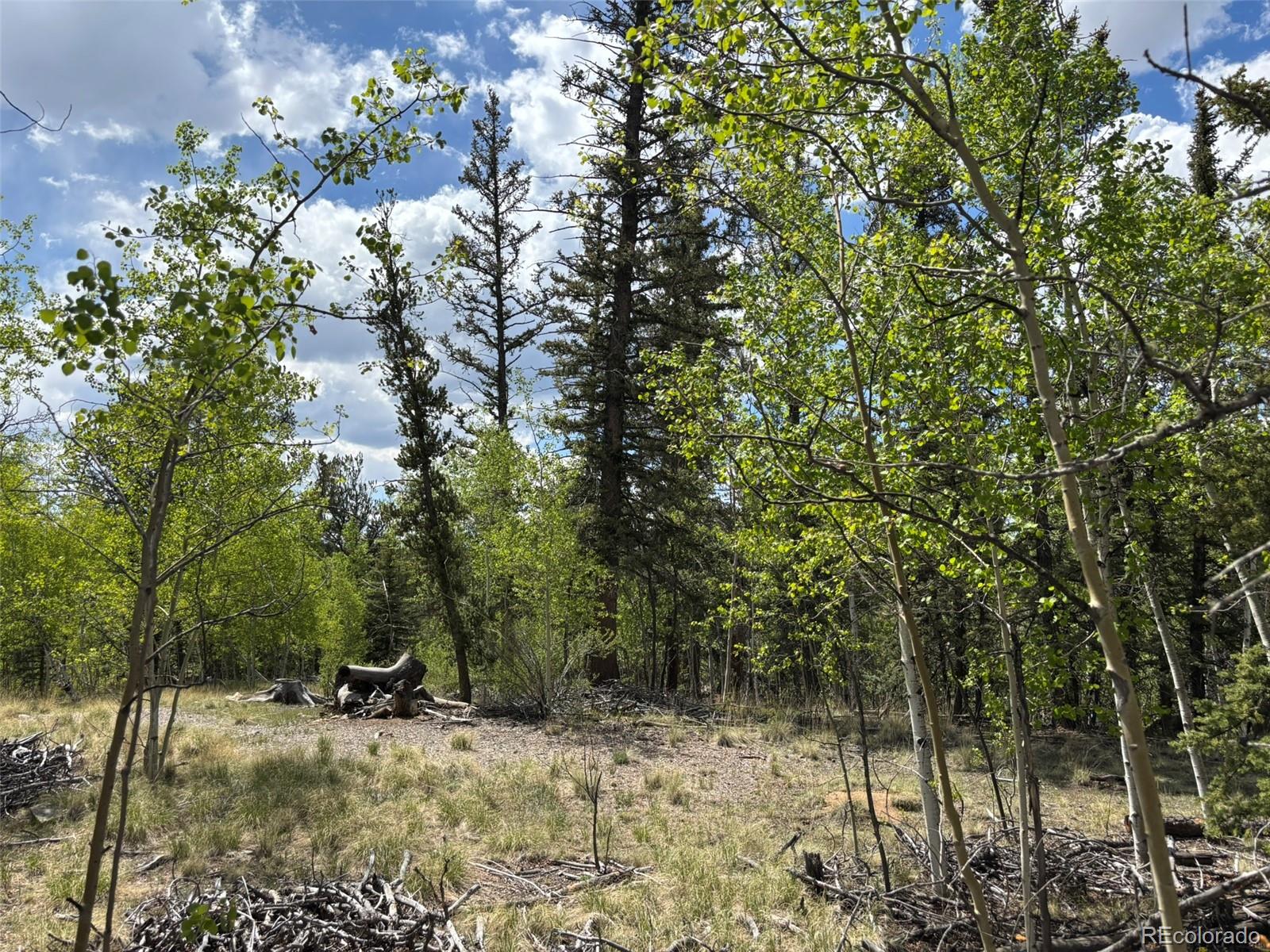514 Chief Trail Como, CO 80456 - Photo 3 of 12 a view of a backyard of a house