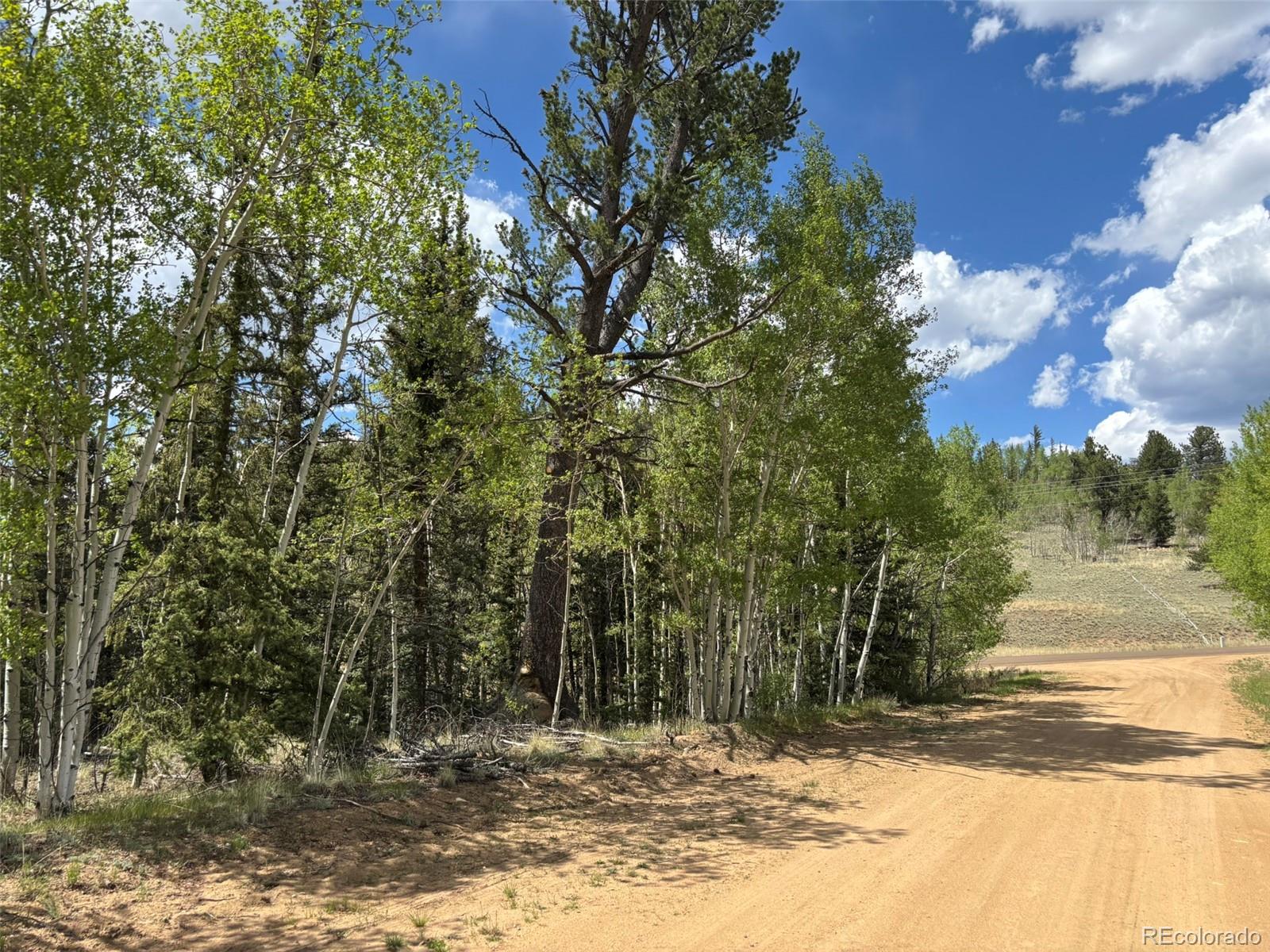 514 Chief Trail Como, CO 80456 - Photo 5 of 12 a view of a yard with plants and trees