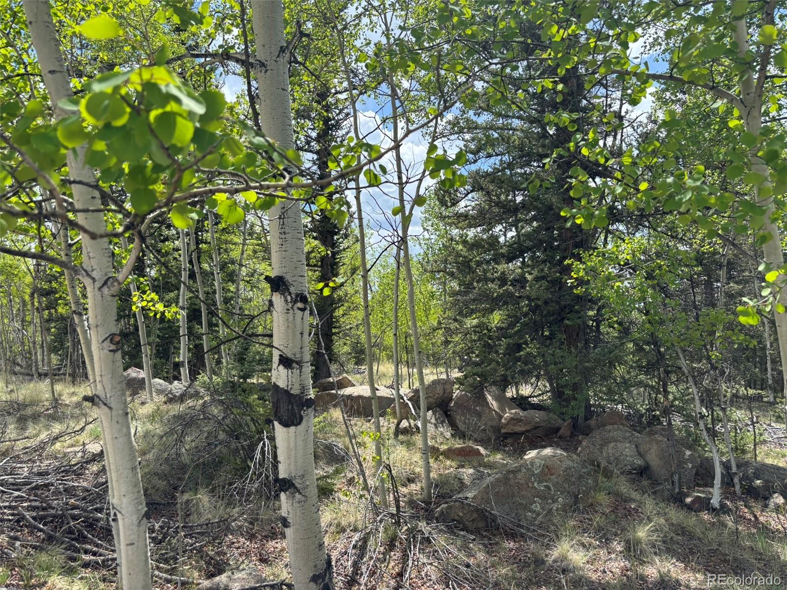 514 Chief Trail Como, CO 80456 - Photo 6 of 12 a view of yard