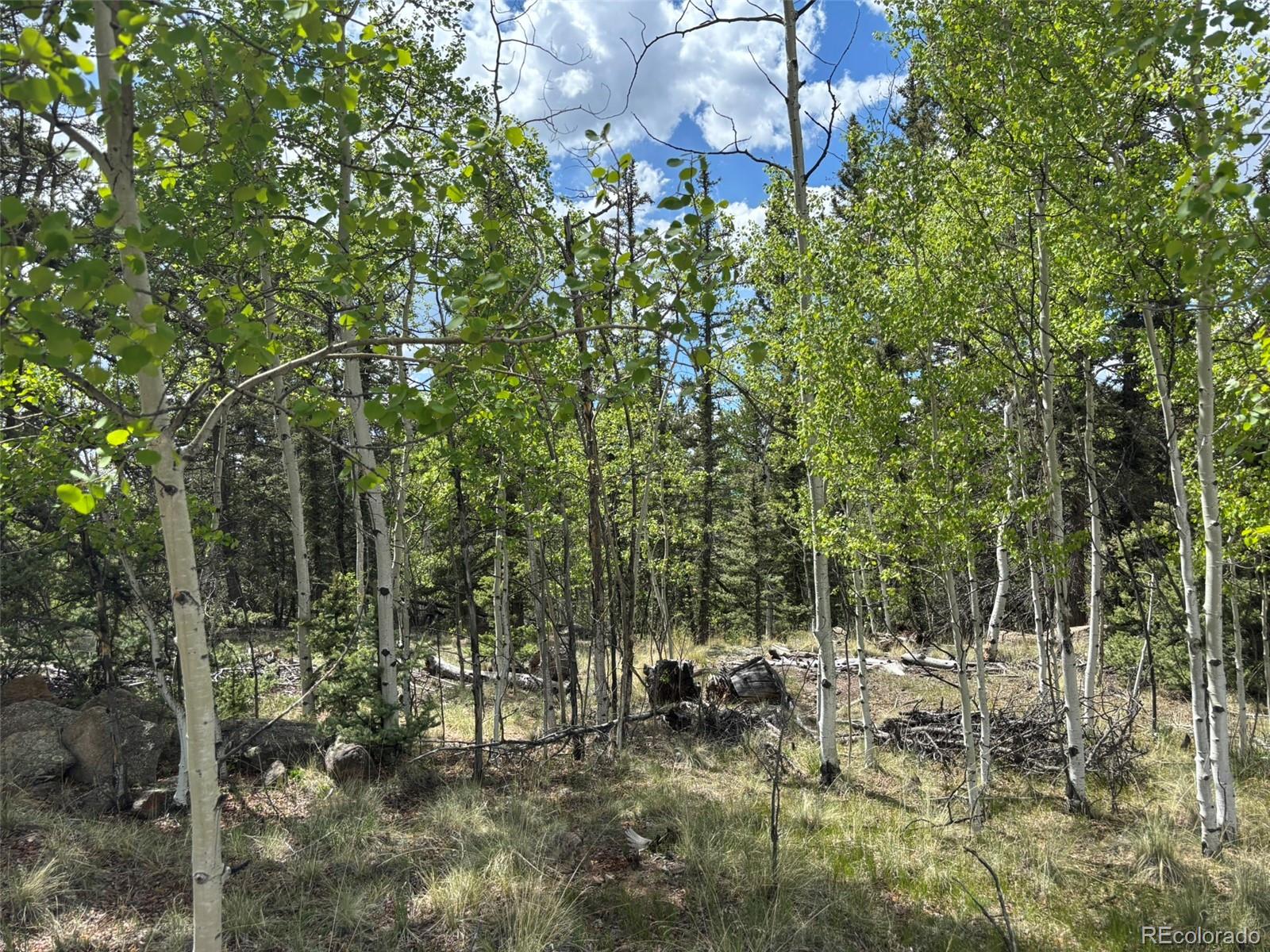 514 Chief Trail Como, CO 80456 - Photo 7 of 12 a view of a building with a tree