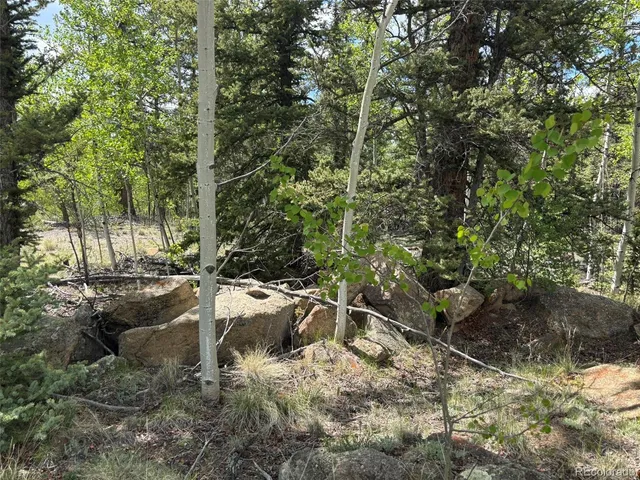 a view of yard covered with trees