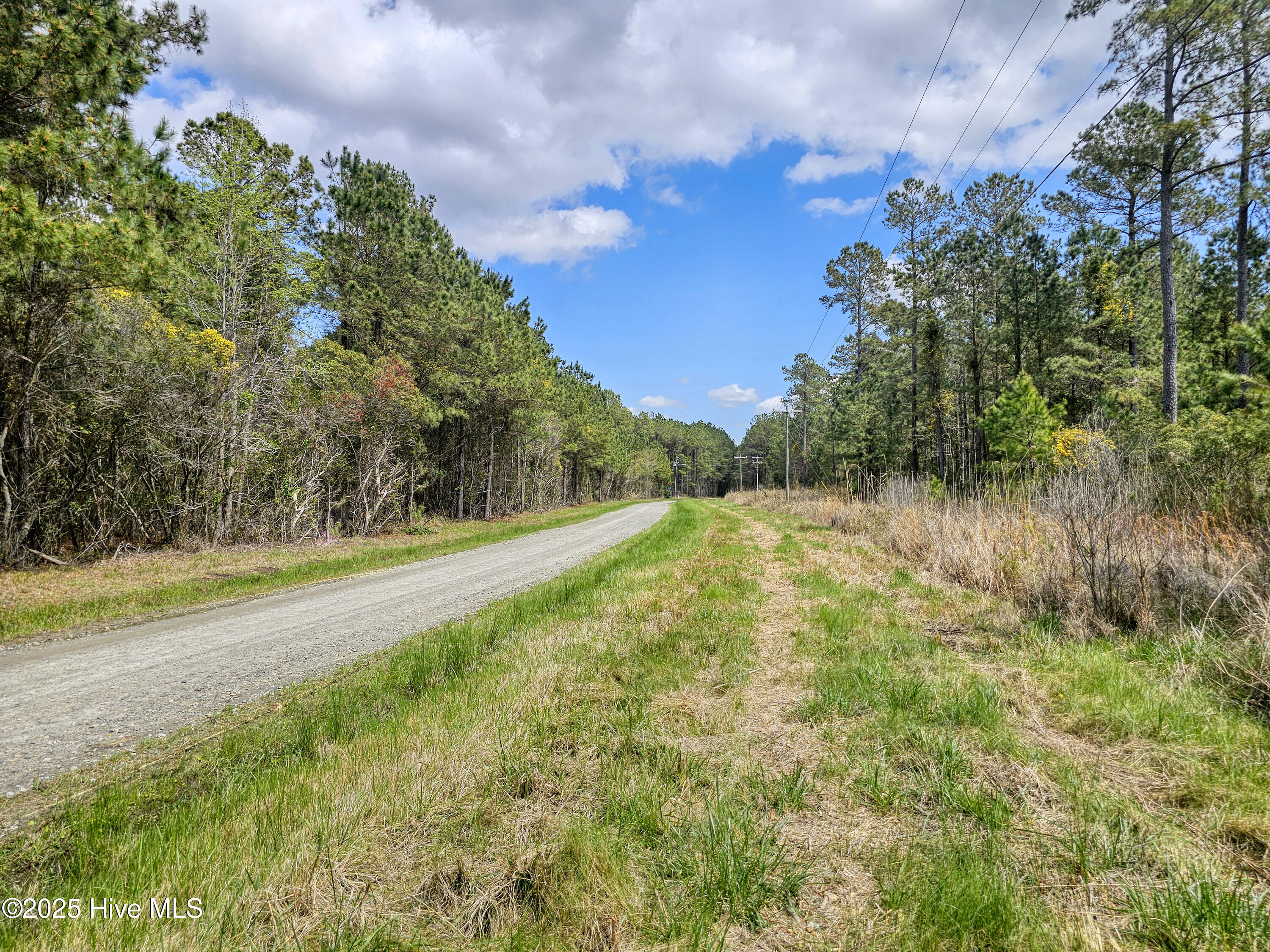 20 Sandy Point Road Scranton, NC 27875 - Photo 4 of 6 20250401_130340b