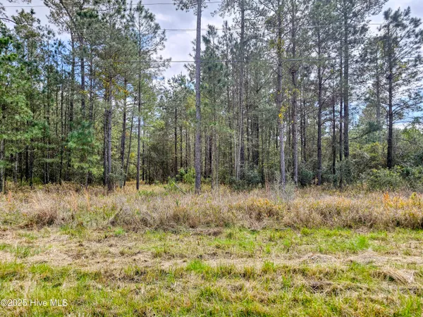 $25,000 | 20 Sandy Point Road, Scranton, NC 27875