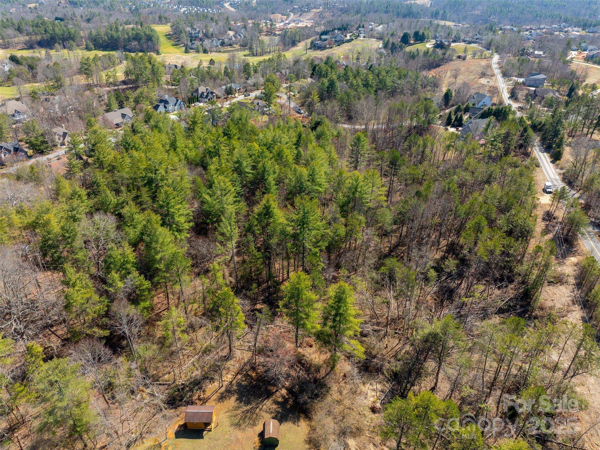 85 Union Chapel Road Weaverville, NC 28787 - Photo 14 of 27 a view of a forest with a house