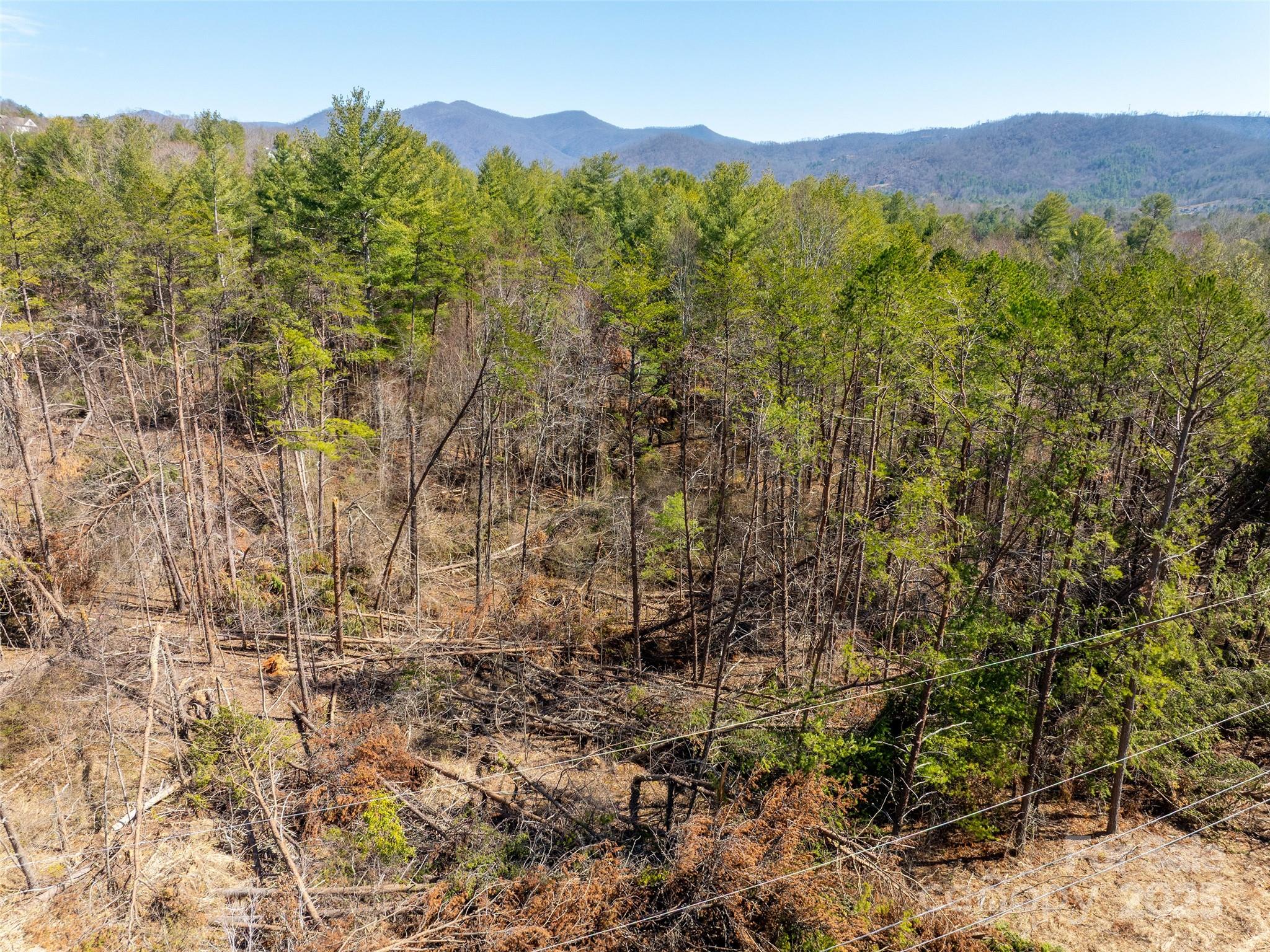 85 Union Chapel Road Weaverville, NC 28787 - Photo 20 of 27 a view of an outdoor space and mountain view