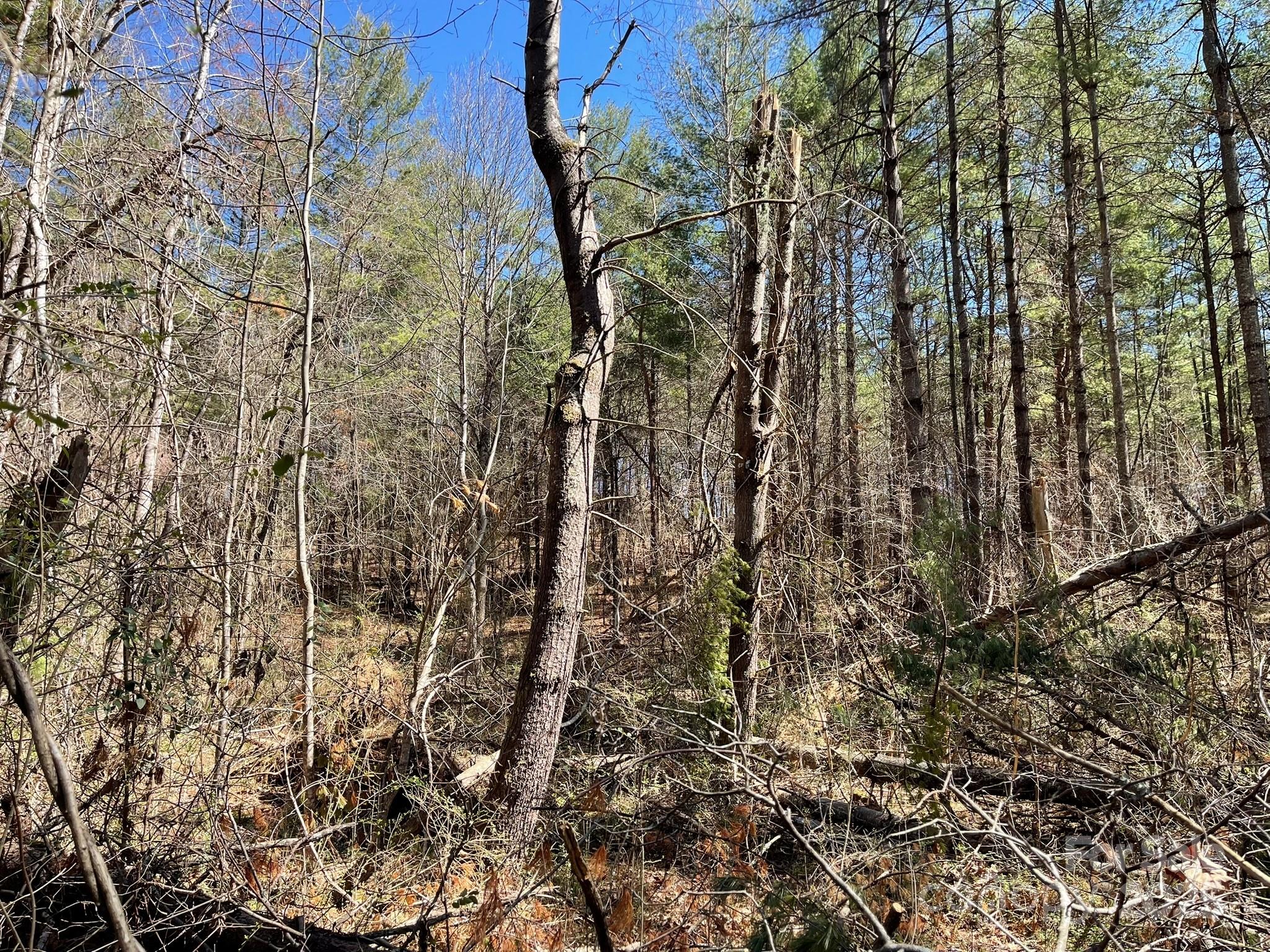 85 Union Chapel Road Weaverville, NC 28787 - Photo 23 of 27