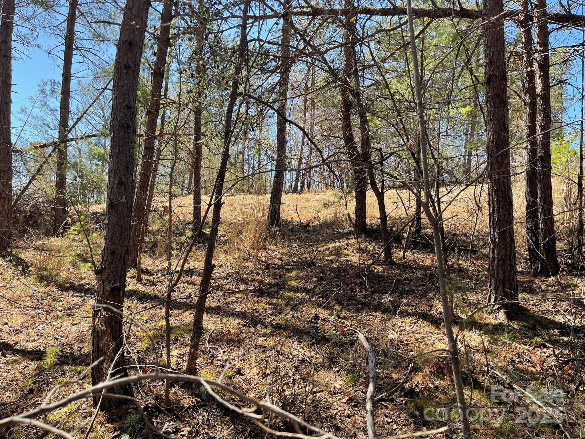 85 Union Chapel Road Weaverville, NC 28787 - Photo 24 of 27 a view of outdoor space