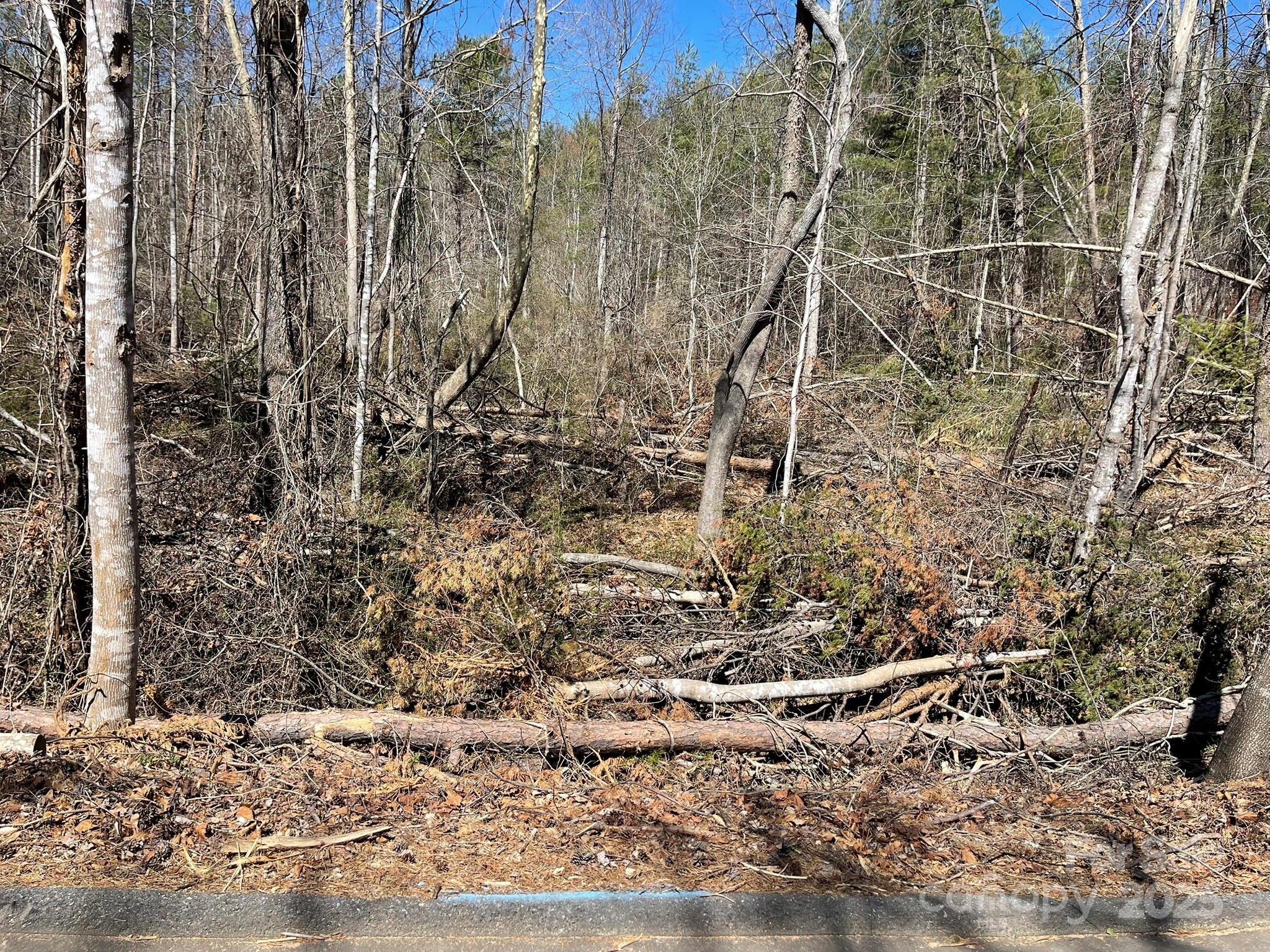 85 Union Chapel Road Weaverville, NC 28787 - Photo 9 of 27 a view of a yard with a trees