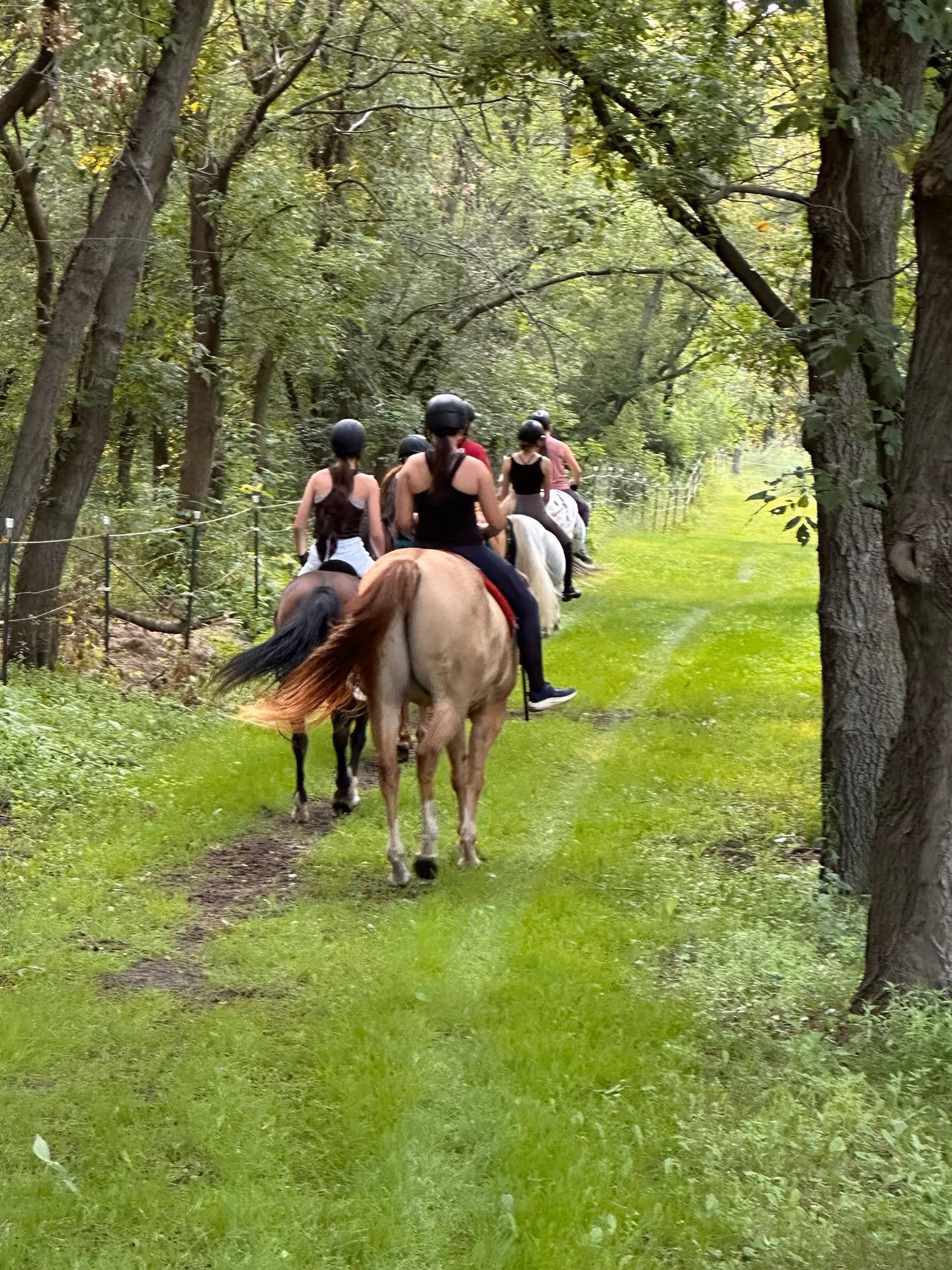 31572 Collegeville Road St. Joseph, MN 56374 - Photo 13 of 18