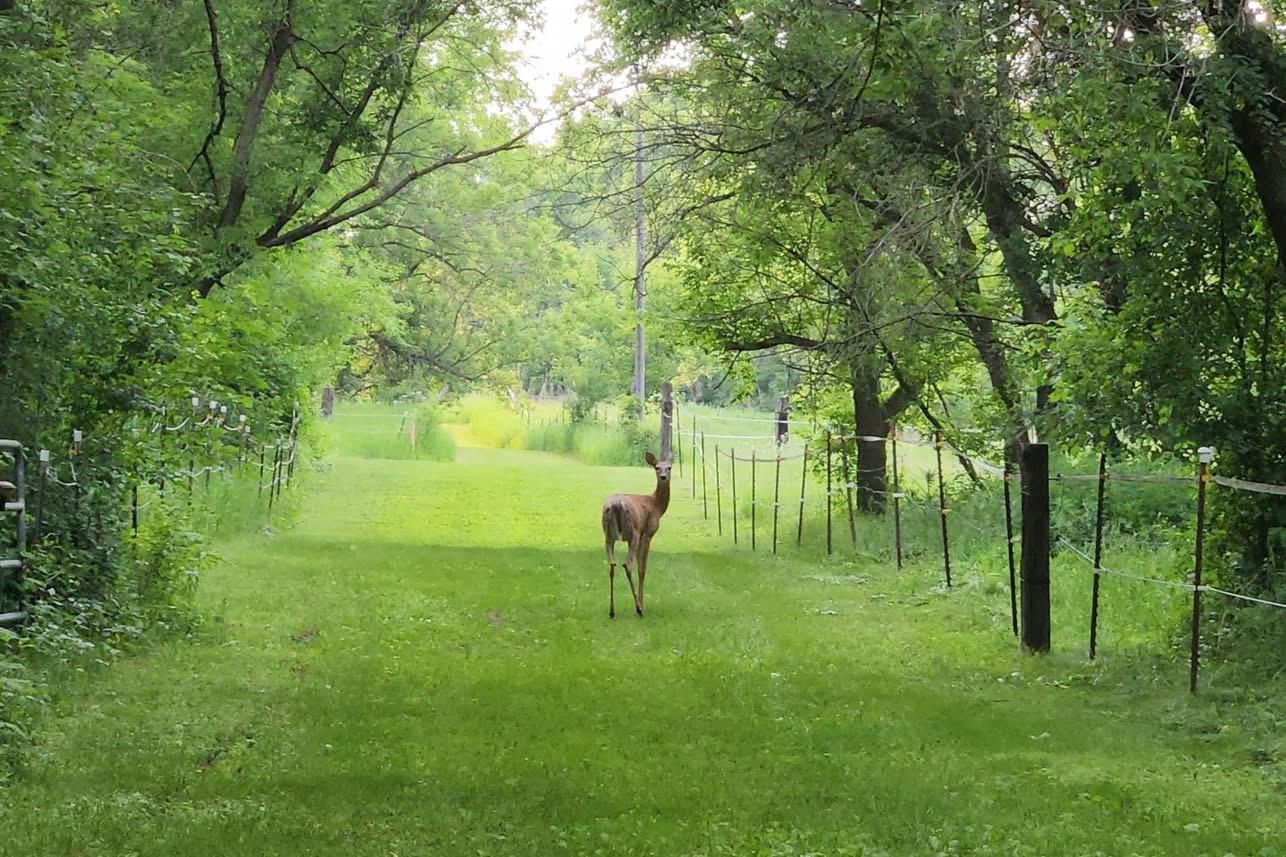 31572 Collegeville Road St. Joseph, MN 56374 - Photo 10 of 18