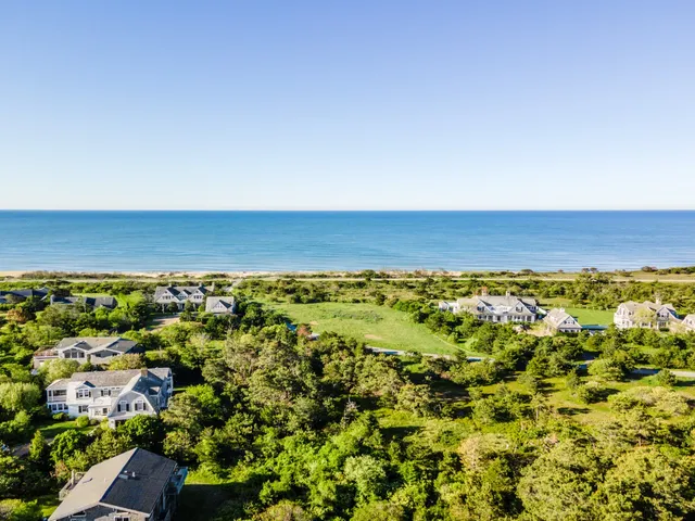 an aerial view of a residential houses and city view