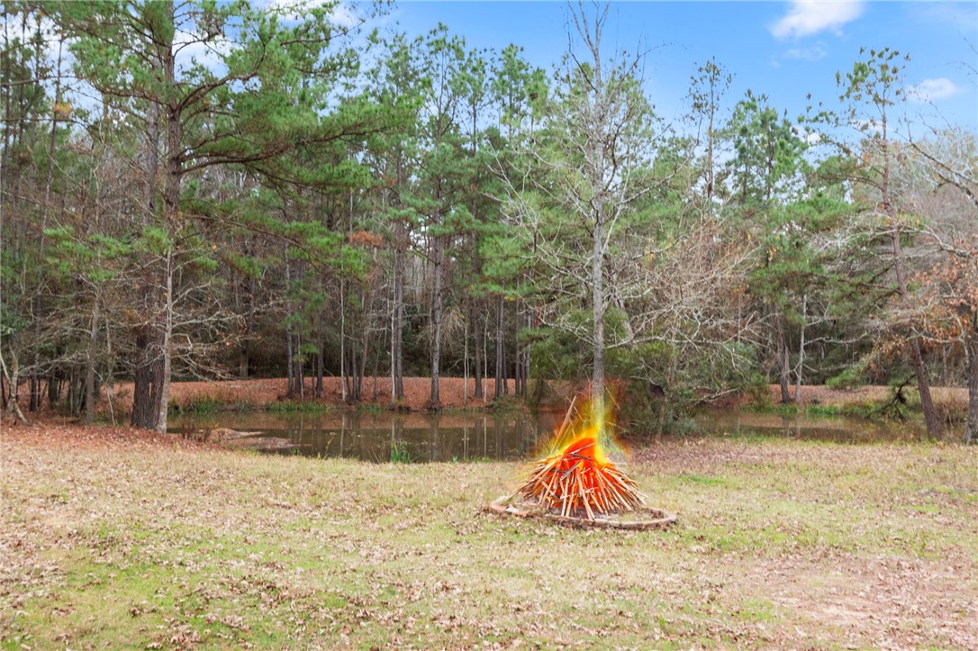 322 Whispering Meadow Magnolia, TX 77355 - Photo 30 of 34 a view of outdoor space