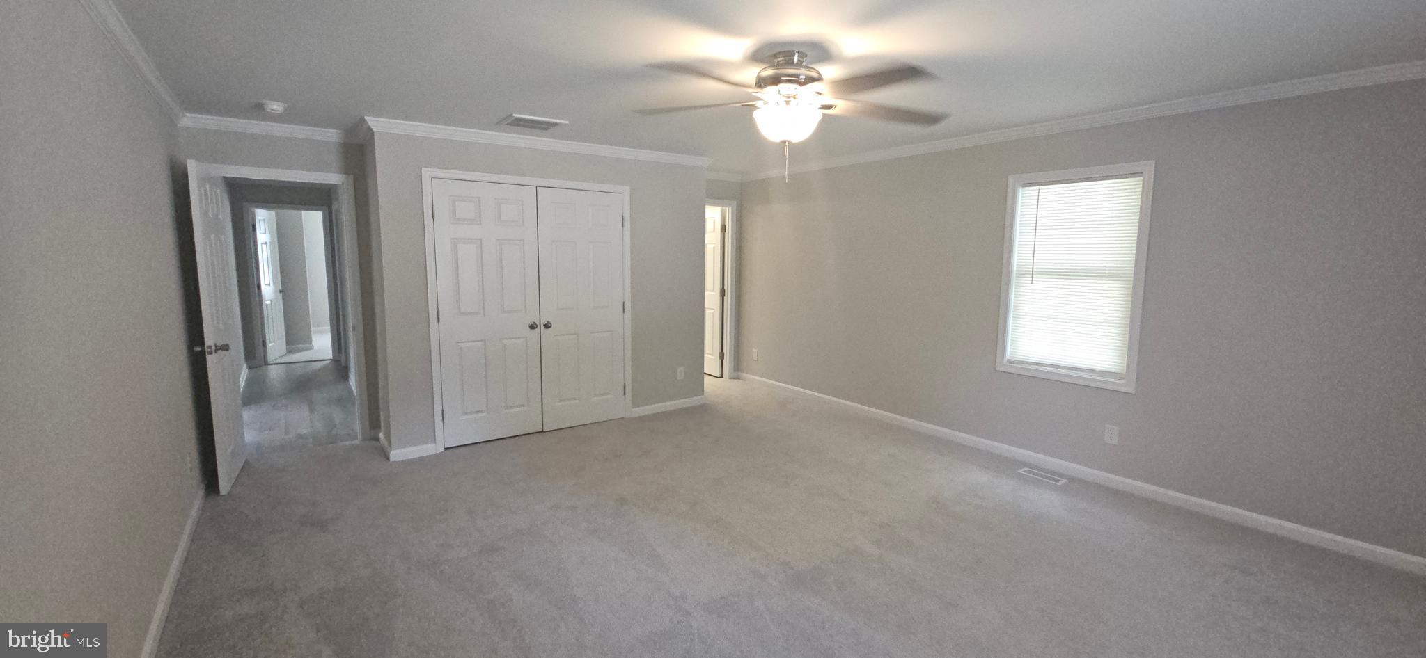 717 Coal Mine Road Strasburg, VA 22657 - Photo 15 of 50