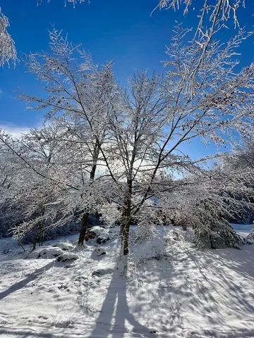 $3,750 | 5451 River Road, Arlington, VT 05250