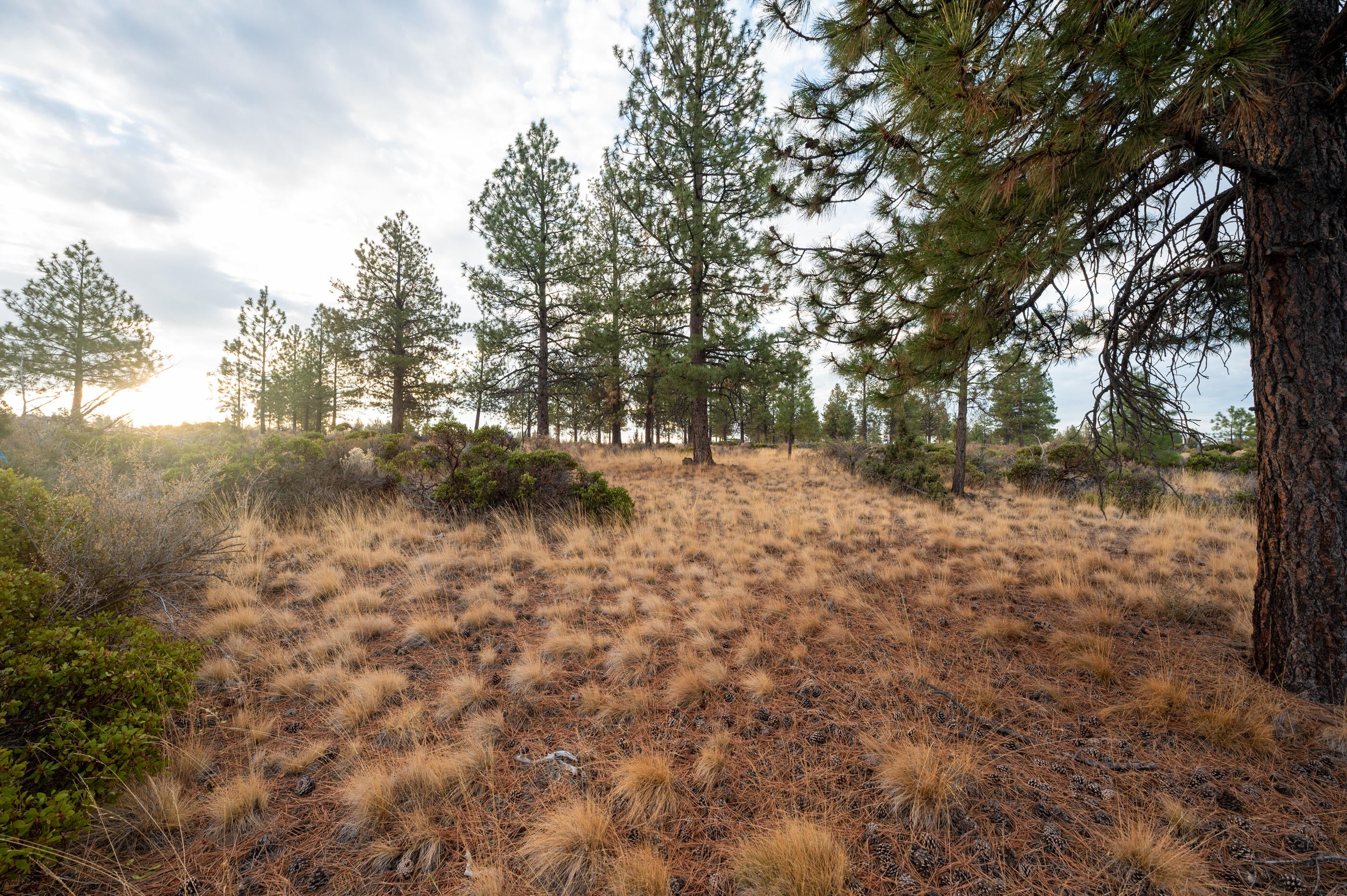 62495 Huntsman Loop Bend, OR 97703 - Photo 13 of 32 13