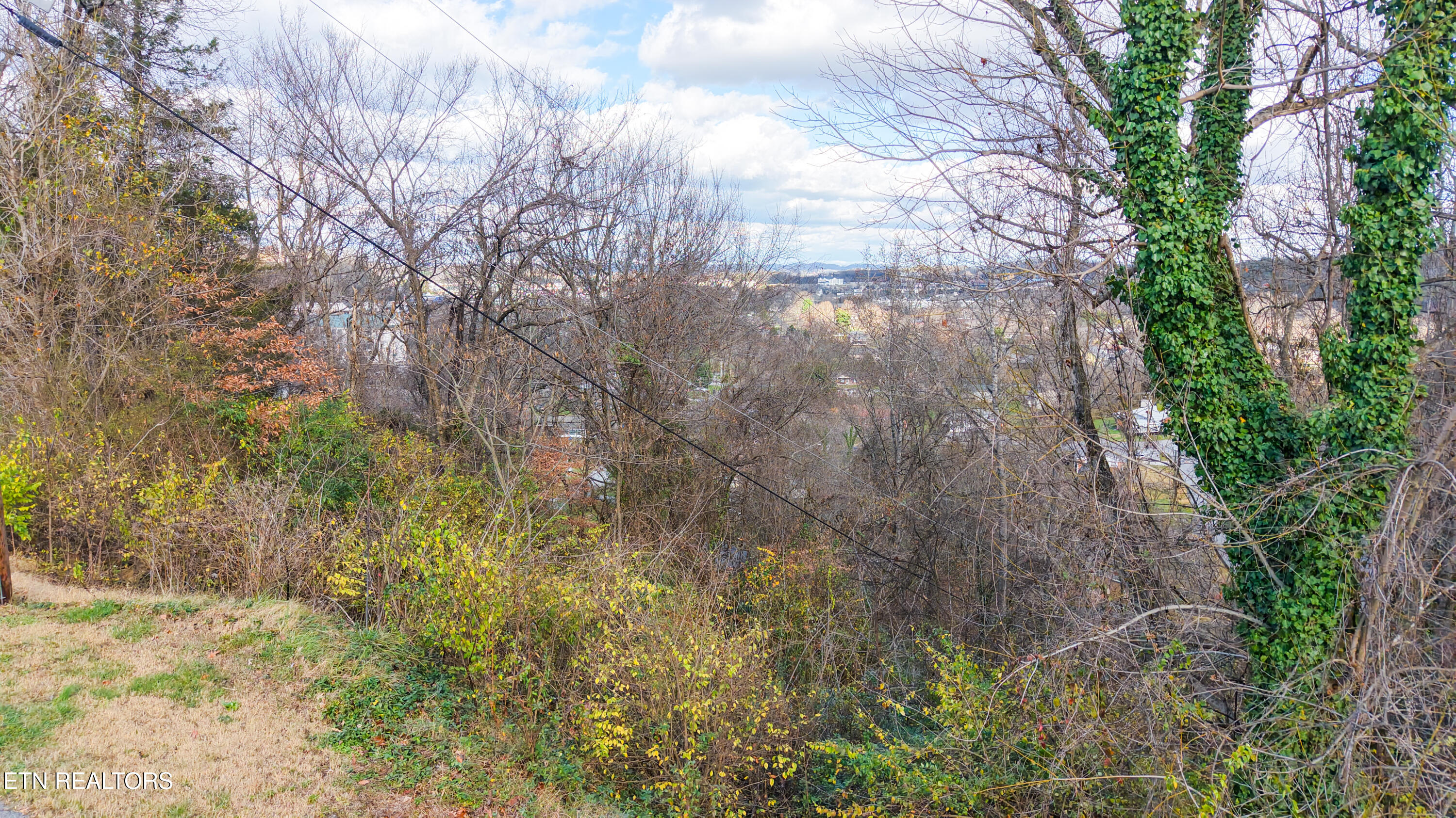 Lot 25 Scenic Loop Road Pigeon Forge, TN 37863 - Photo 2 of 7 Mountain Views