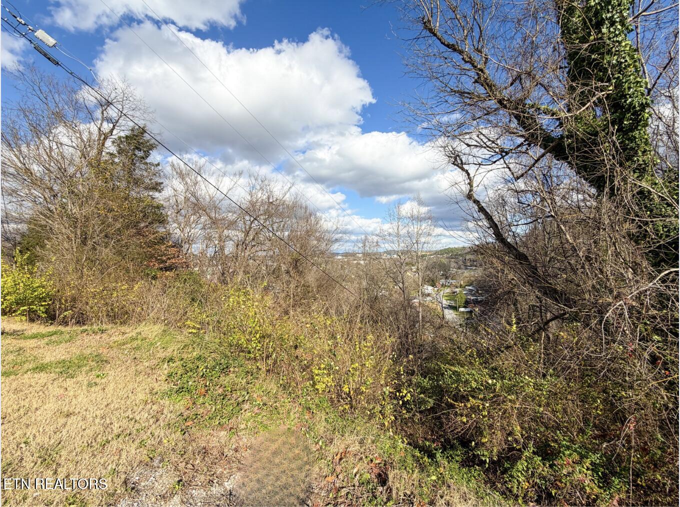 Lot 25 Scenic Loop Road Pigeon Forge, TN 37863 - Photo 3 of 7 Mountain Views