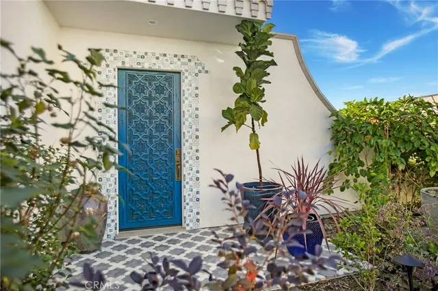 view of a potted plant in front of a house