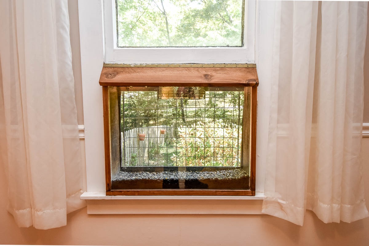 Gallery Image 7
