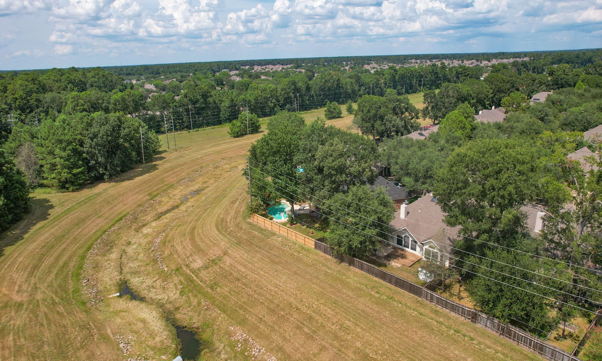 31235 Windcrest Park Lane Spring, TX 77386 - Photo 39 of 50 a view of a yard with plants
