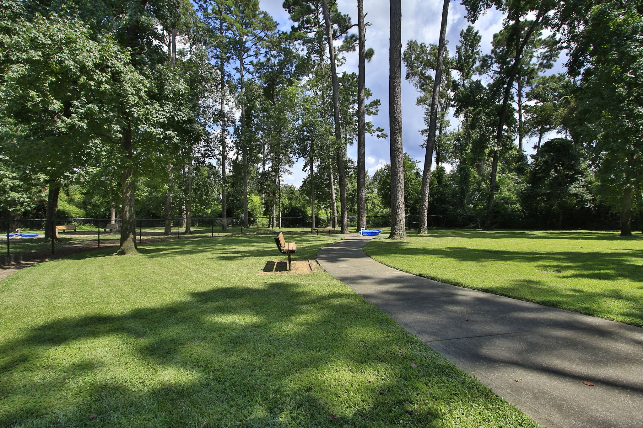 31235 Windcrest Park Lane Spring, TX 77386 - Photo 47 of 50 a view of a park with a tree