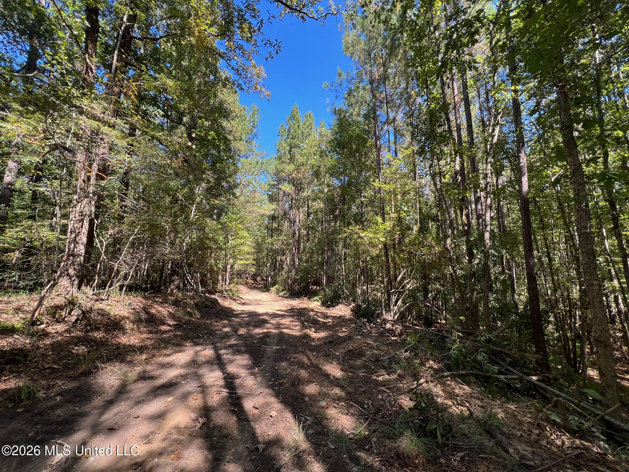 84 Highway 84 Roxie, MS 39661 - Photo 15 of 33 18