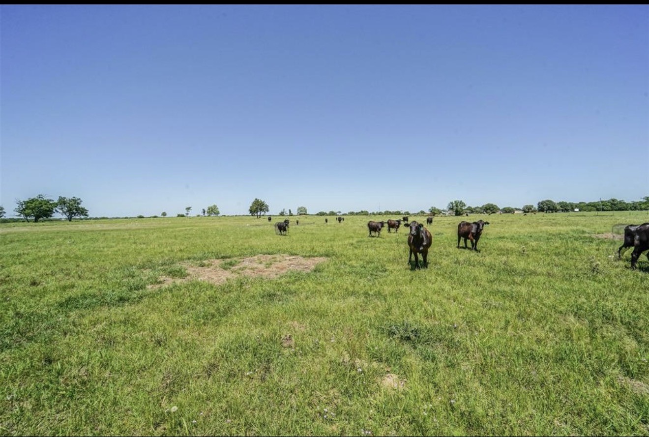 11811 Schmidt Road Waller, TX 77484 - Photo 3 of 7 a view of a field with an ocean