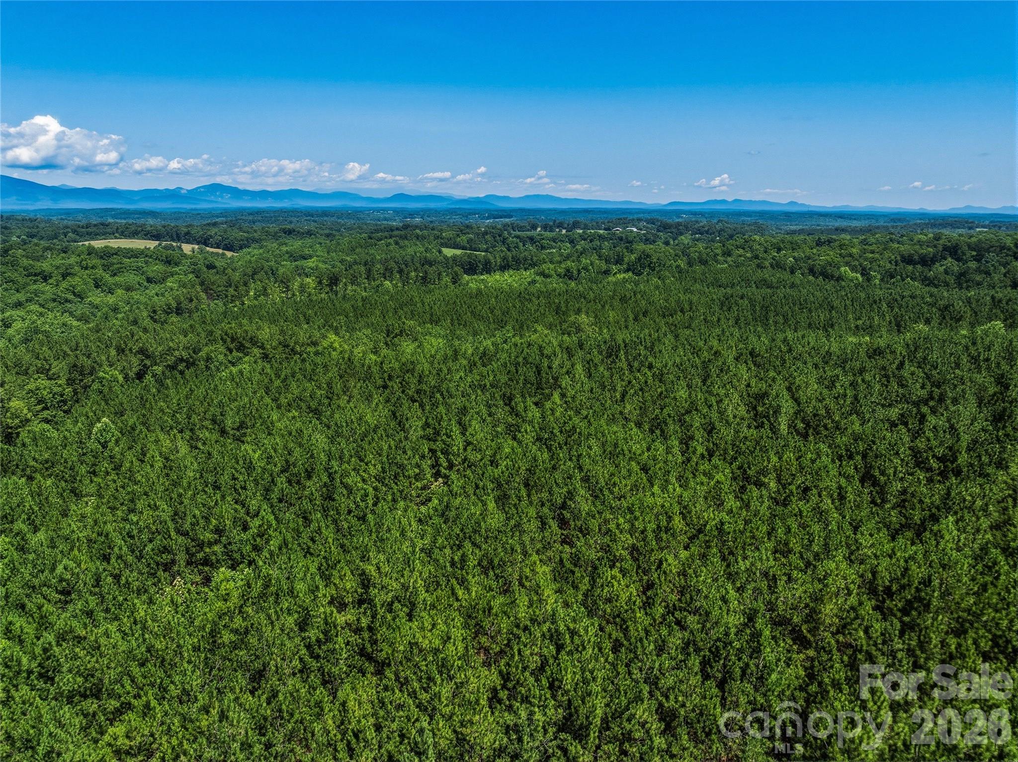 6783 Peniel Road Tryon, NC 28782 - Photo 26 of 36