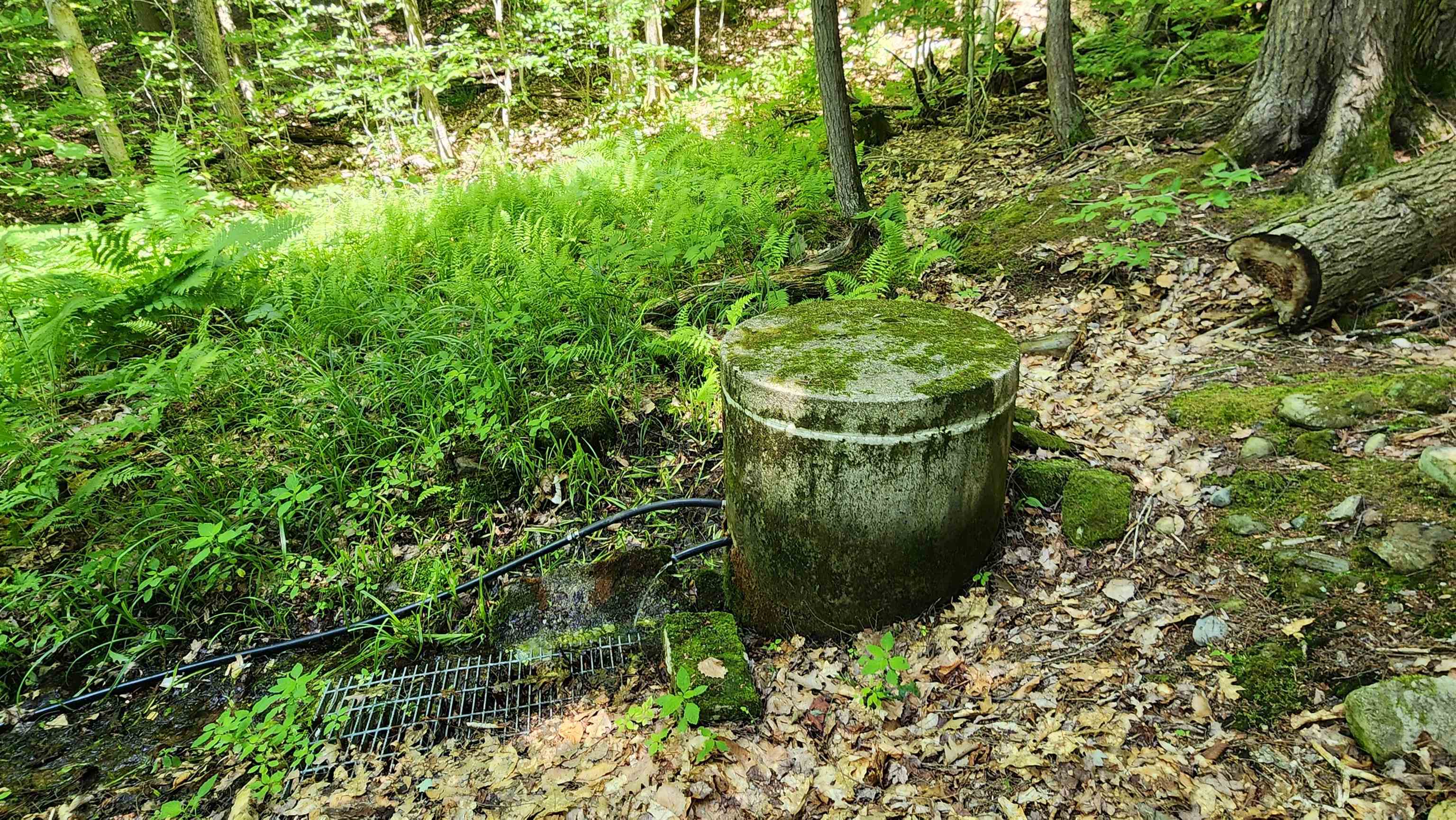 1372 Potash Brook Road Chester, VT 05143 - Photo 20 of 20