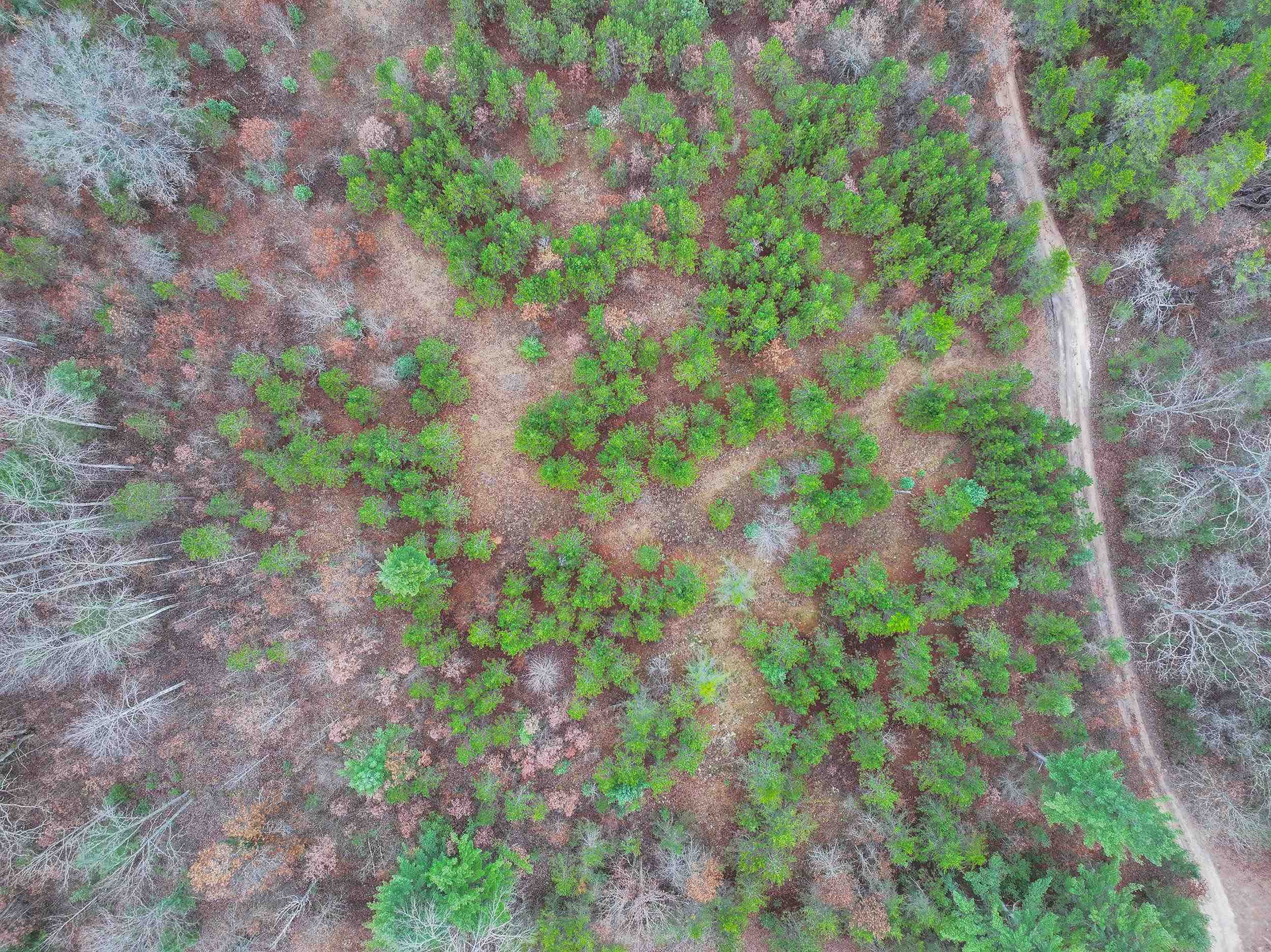 Parcel D Northeast Parcel D Ne Hodge Road Kingsley, MI 49649 - Photo 8 of 12