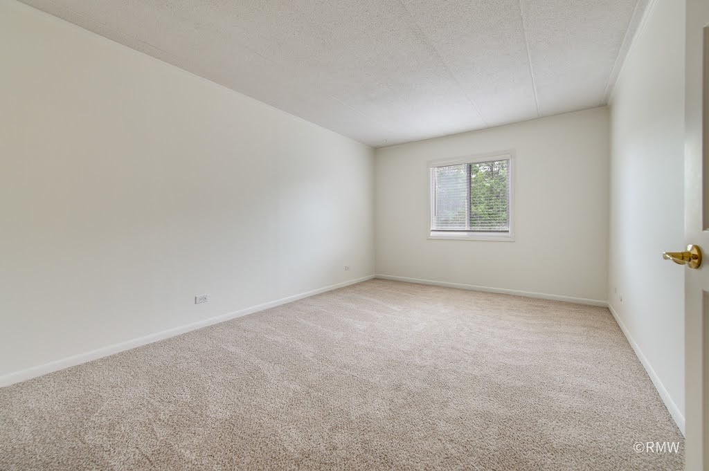 525 Timber Ridge Drive, Unit 306 Carol Stream, IL 60188 - Photo 11 of 26