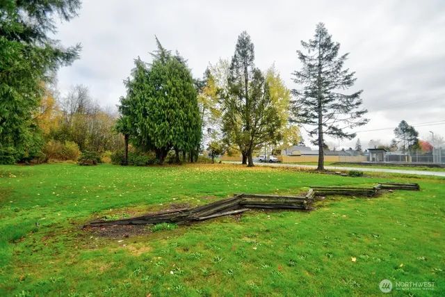 a green field with lots of trees