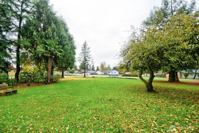 a view of yard with trees