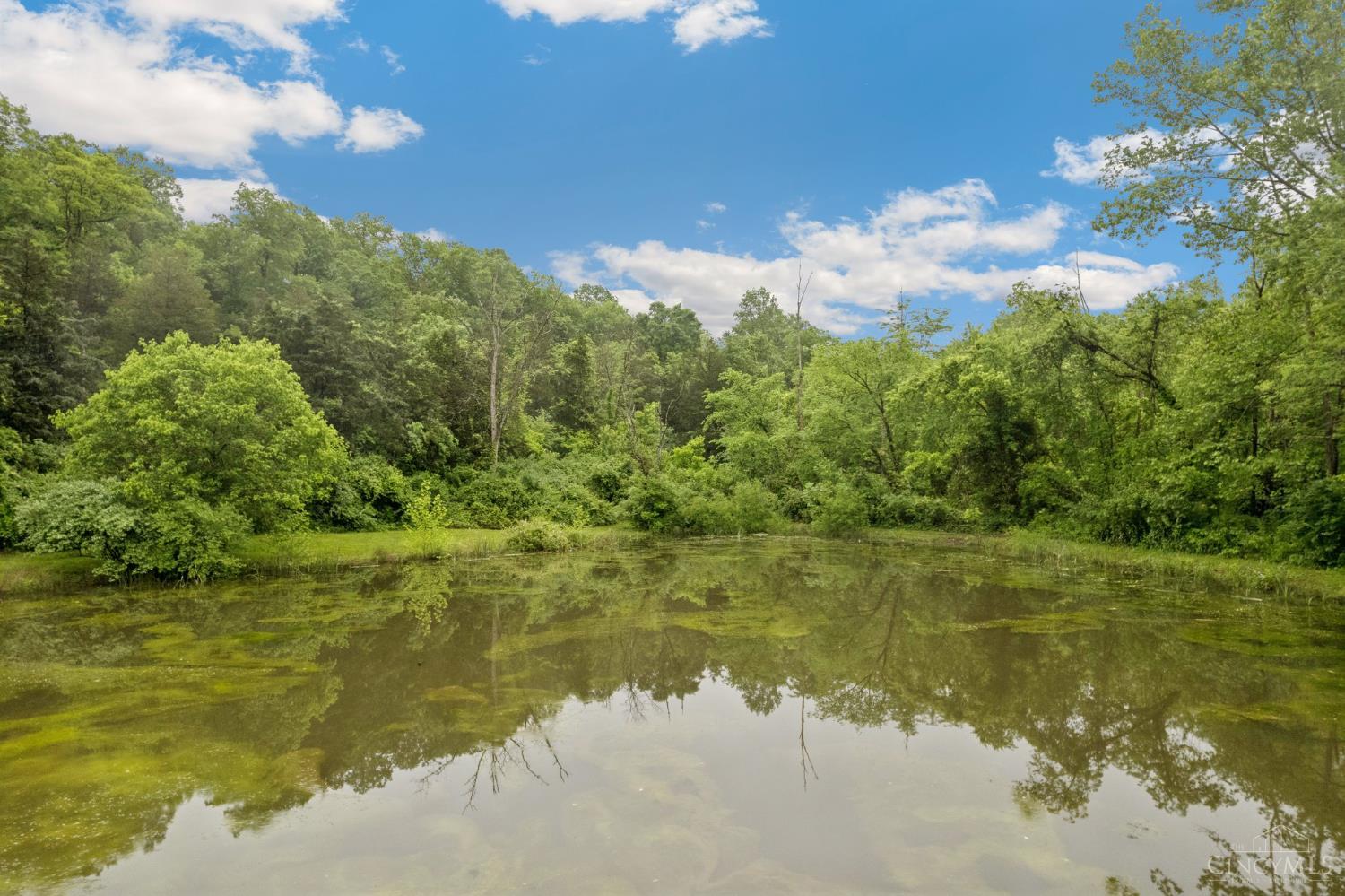 455 Waggoner Riffle Road Lynx, OH 45650 - Photo 4 of 45
