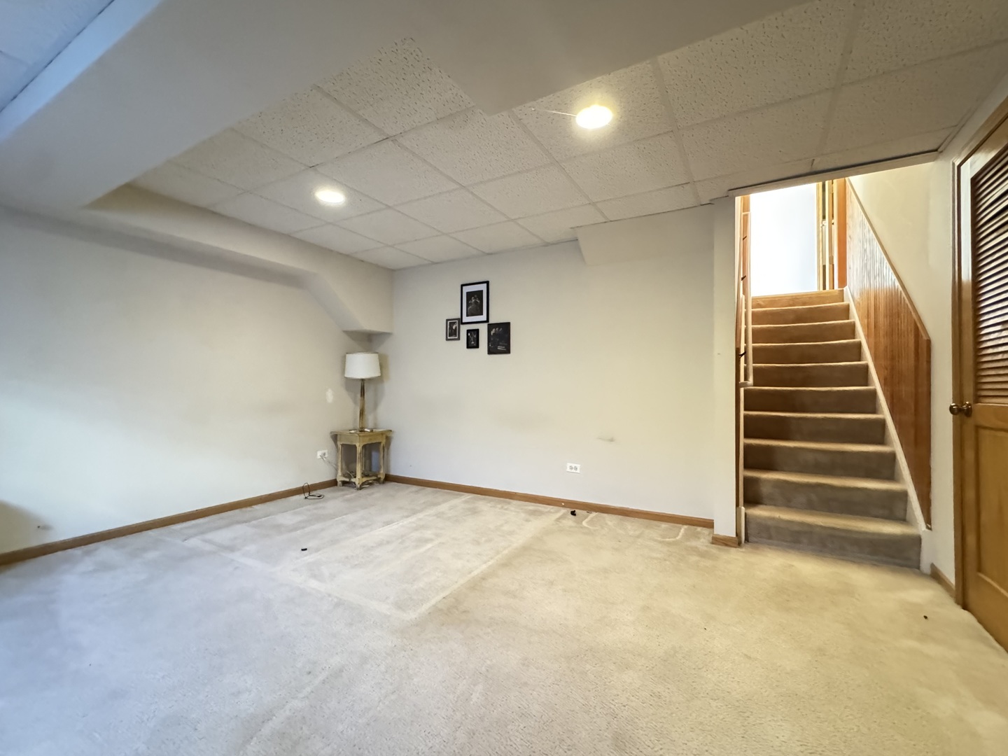 1606 Donegal Drive Minooka, IL 60447 - Photo 18 of 23