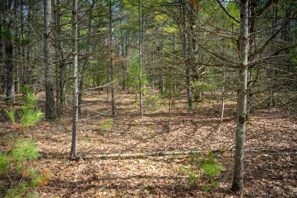$85,200 | V/l West Holton Whitehall Road, Unit 2 13 A M/L, Whitehall, MI 49461
