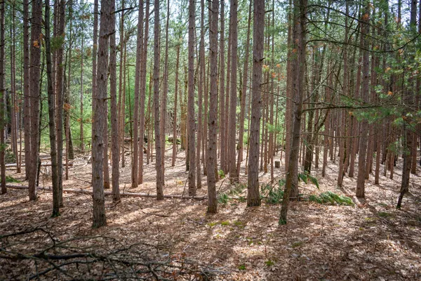 $85,200 | V/l West Holton Whitehall Road, Unit 2 13 A M/L, Whitehall, MI 49461