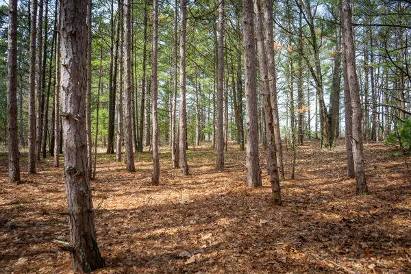 $85,200 | V/l West Holton Whitehall Road, Unit 2 13 A M/L, Whitehall, MI 49461