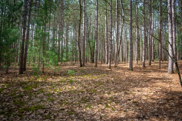 $85,200 | V/l West Holton Whitehall Road, Unit 2 13 A M/L, Whitehall, MI 49461