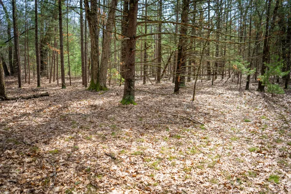 $85,200 | V/l West Holton Whitehall Road, Unit 2 13 A M/L, Whitehall, MI 49461