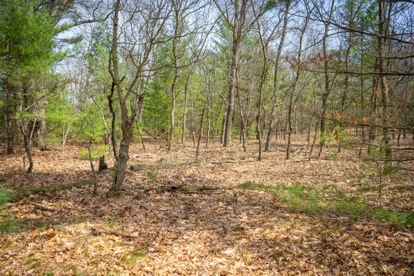 $85,200 | V/l West Holton Whitehall Road, Unit 2 13 A M/L, Whitehall, MI 49461