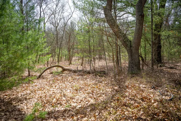 $85,200 | V/l West Holton Whitehall Road, Unit 2 13 A M/L, Whitehall, MI 49461