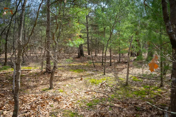 $85,200 | V/l West Holton Whitehall Road, Unit 2 13 A M/L, Whitehall, MI 49461