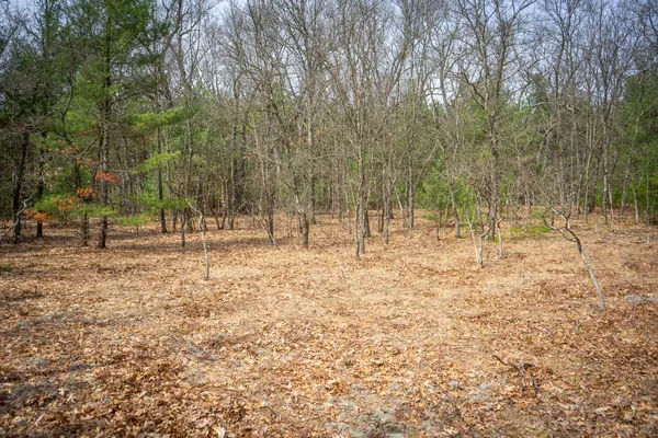 $85,200 | V/l West Holton Whitehall Road, Unit 2 13 A M/L, Whitehall, MI 49461